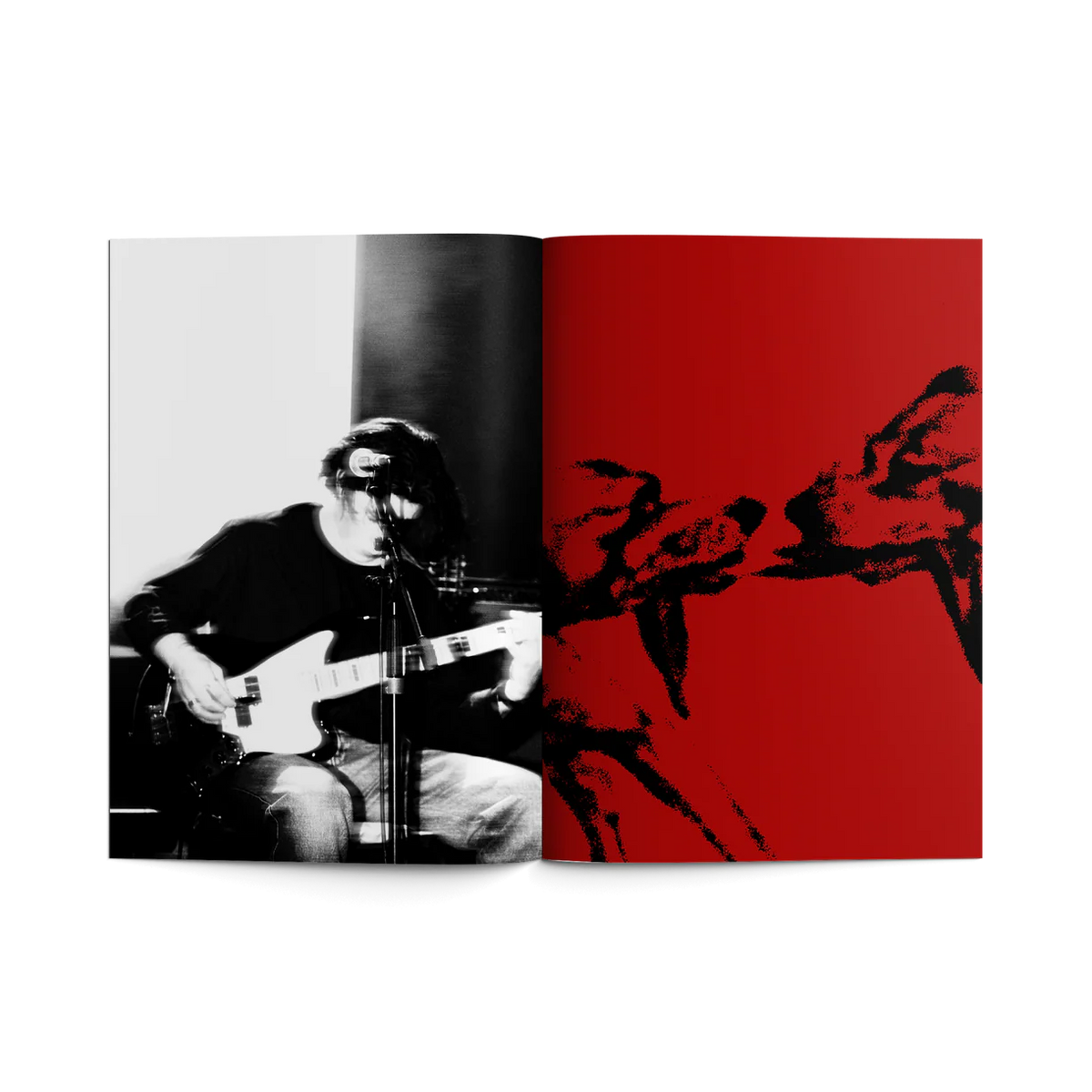 Madra Salach - Lyric Booklet
